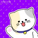 기역 | 동구 동물병원 기역기역 솔직후기