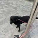 강남이룸안과의원 네이버블로그