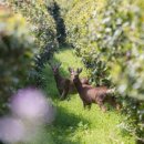 제주 와일드 이미지