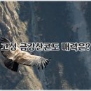 금강산해수사우나 | 고성금강산콘도 - 고성 금강산콘도 조식, 고성 금강산콘도 사우나, 고성 금강산콘도 30평