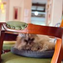 중앙시장(공영주차장)/신한은행 | 진해카페추천 부엉이카페 중앙시장공영주차장 옆 한옥감성 힐링카페