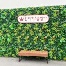 원더키즈풀빌라 이미지