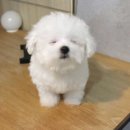 센텀투어
