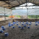 수도산식당 | 20년넘은 김천 증산 삼겹살 맛집 수도산참숯가마식당 찐후기