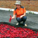 비단금 농장 이미지