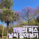 와우투어주 이미지