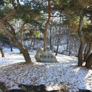 대일장식지물 | 철원 화개산 도피안사
