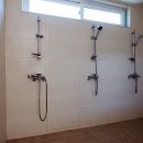 초평밤나무 이미지