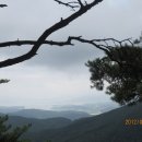 사천송림 이미지