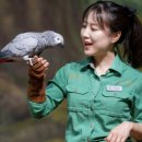 동심으로의 회귀 | 에버랜드 겨울 12월 평일 수요일 방문 후기: 대기시간, 유료 주차장 할인, 애니멀톡 추천