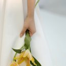 스튜디오데이라이트 이미지