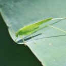 선지공원 이미지