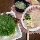 단디회잡어