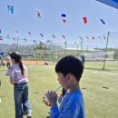 영월제일의원 네이버블로그