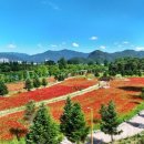 봄꽃체험코스 이미지