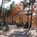 강릉 노추산 모정탑길 이미지