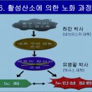 생로병사(生老病死)의 비밀(秘密)(책요약) 이미지
