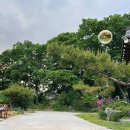 한옥스테이현덕씨네 이미지