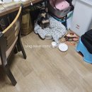 엄마손식당 | 성남 단대오거리역 백반 노포 엄마손식당 김치찌개 내돈내산 후기