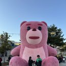 대죽서로 | 날씨가 다했던 주말나들이🌻 무안yd 페스티벌 축제 후기✨