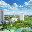 로얄피시 이미지