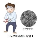J0390 이미지