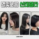 노량진미용실 신데렐라 클리닉 별빛오름헤어 시술진행