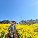 번개랜드 | 나른한 봄날,구례 치즈랜드 수선화축제&amp;하동 십리벚꽃길 번개 후기