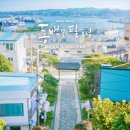 동백꽃필무렵 - 거제시 거제면 | 동백꽃필무렵