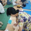 한림가락유치원 이미지