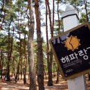 월송정매점 이미지