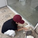 멍푸치노 이미지