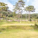 물댄동산 이미지