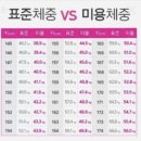 바디디자이너 이미지