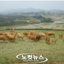 부농축산 이미지