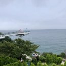 동해회냉면식당 | 충남태안]삼척 삼고정문, 동해 논골카페,능나도회냉면,평창 산촌식당, 제천 낭만짜장 내돈내산 솔직후기