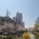 해링턴썬데이부동산공인중개사사무소 네이버블로그