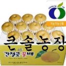 큰솔농장 이미지