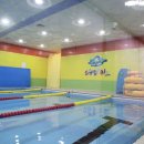 스위밍키즈 이미지