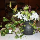 동양 꽃꽂이 이미지