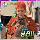 GD기획 이미지