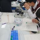 STEAM 과학실험 1-2 이미지