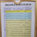 양양군민약국 이미지