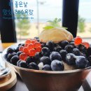 보양맨션 A동 앞 | 강원도 / 오션뷰 카페 :; 생블루베리 빙수 맛집 / 더 좋은날 망상해수욕장 본점