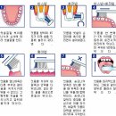 올바른 치아 관리법 이미지