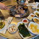 술낭구본점