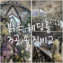 (주)지디서울 | 💍 예신 서사 3화 | 밝은 웨딩홀 투어 3곳 비교 [빌라드지디 수서 vs 상록아트홀 vs 세인트메리스]