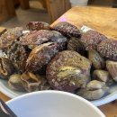 [인천] 목포회조개구이 _ 커플 A 세트 후기, 친절하고 서비스 좋은 조개구이 맛집 추천