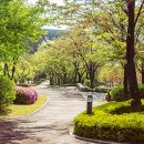 롤링힐스 호텔 이미지