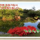 간석1동-35 이미지